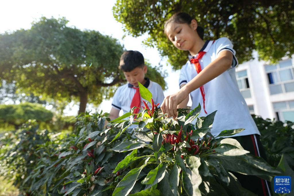 聚宝娱乐